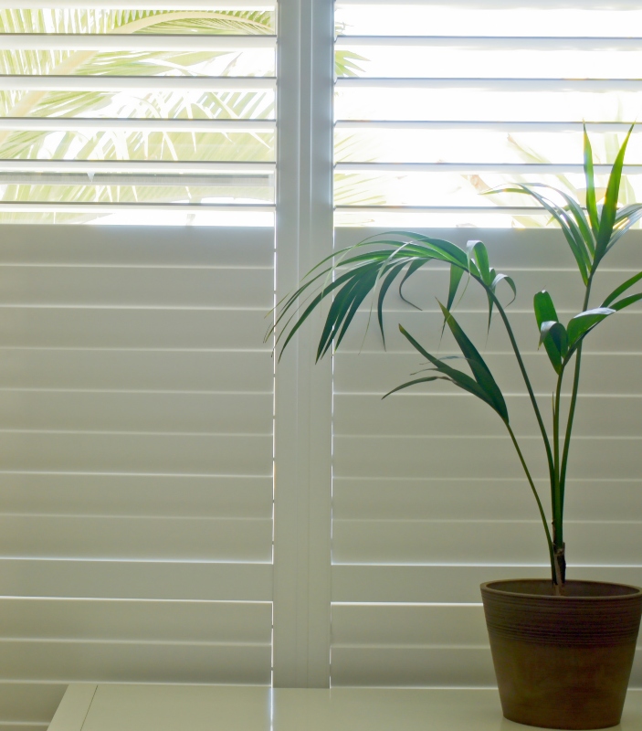 luxury white indoor plantation shutters