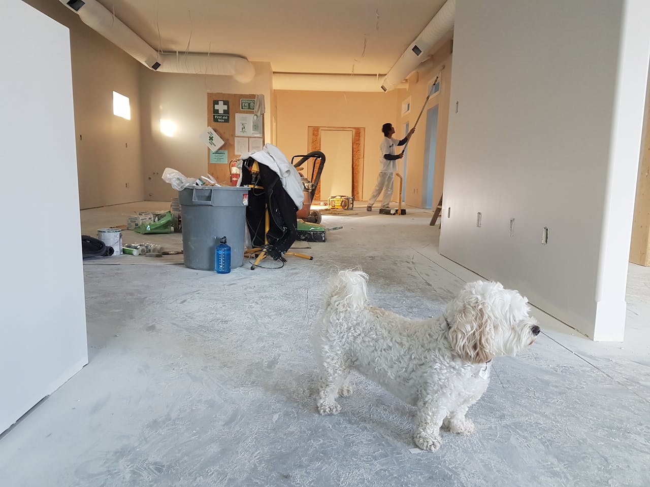 Crafting Captivating Headlines: Your awesome post title goes here Interior renovation scene with a painter working and a dog in the foreground.